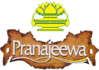 Pranajeewa Products 2